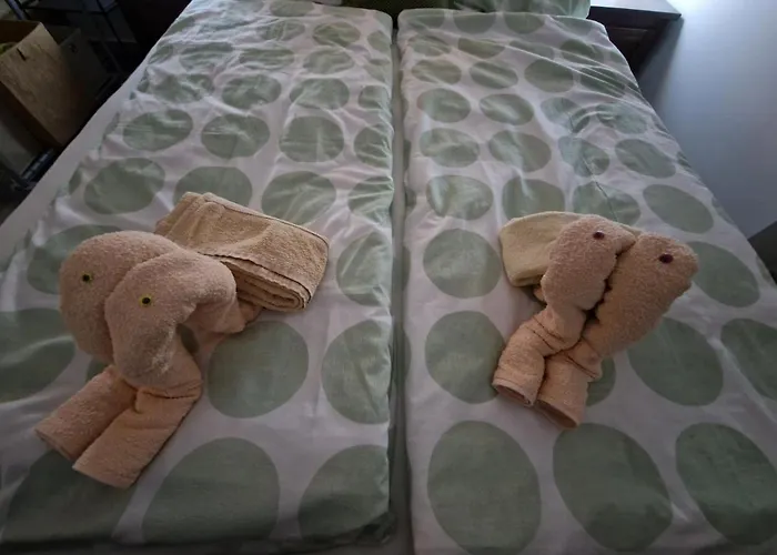 Apartmani Studio Apartmani Senjska Maslina