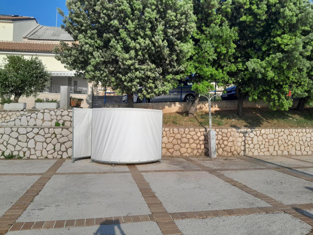 Senjska Maslina Apartment Senj (Lika-Senj)