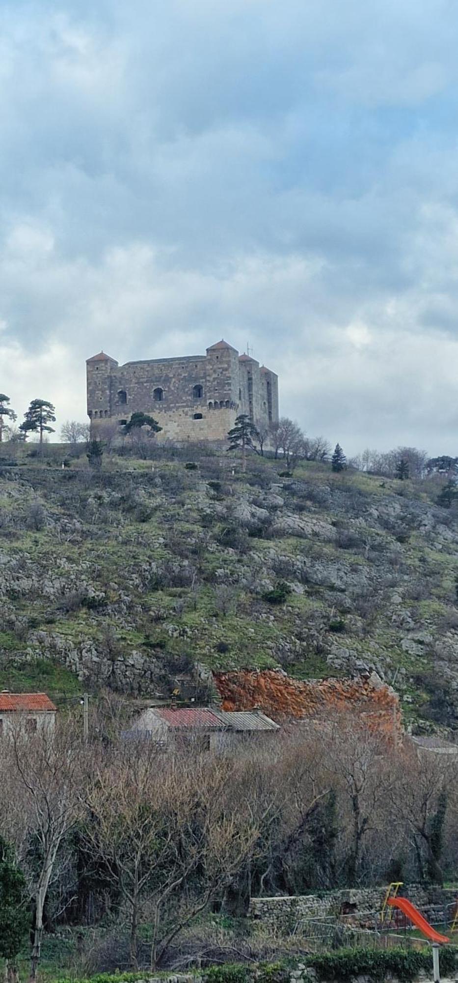 Senjska Maslina * Senj (Lika-Senj)